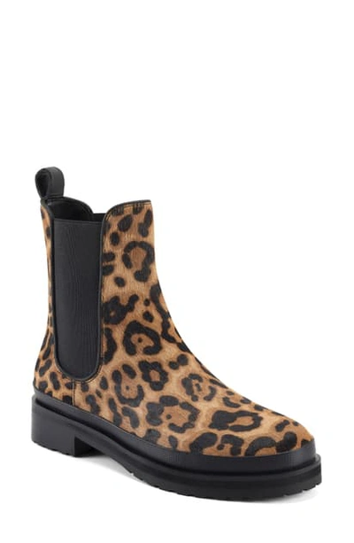 Shop Aerosoles Camila Chelsea Boot In Leopard Print Combo Leather