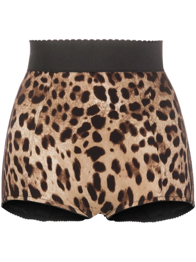 Shop Dolce & Gabbana Leopard-print High-waisted Briefs In Brown