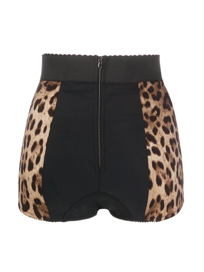 Shop Dolce & Gabbana Leopard-print High-waisted Briefs In Brown