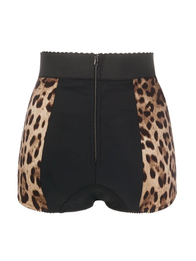 Dolce & Gabbana Leopard Print Shaping-briefs In Brown
