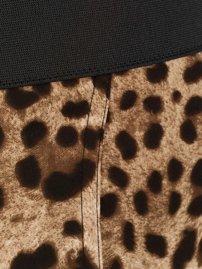 Dolce & Gabbana Leopard Print Shaping-briefs In Brown