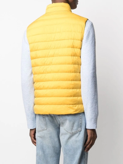 Shop Hackett Padded Logo Embroidered Gilet In Yellow