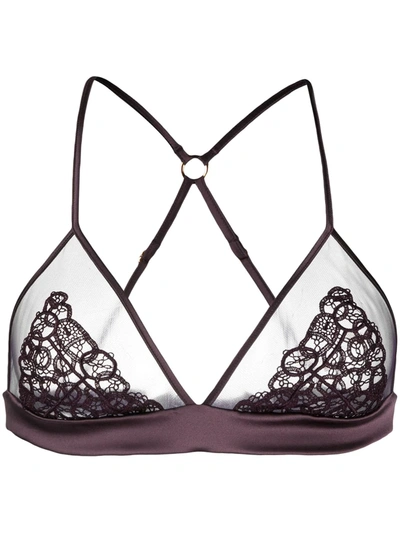 Shop Fleur Of England Lace-trimmed Fitted Bra In Purple