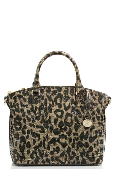Brahmin Duxbury Melbourne Embossed Leather Satchel In Snow Leopard Melbourne ModeSens