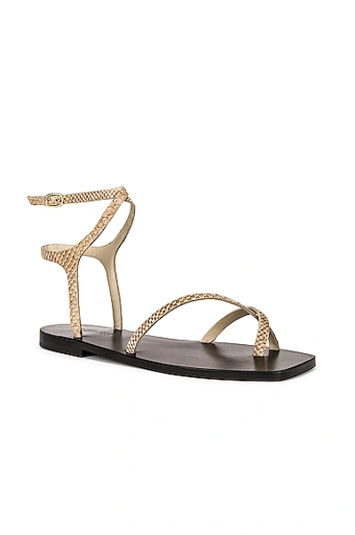 Shop A.emery Thia Sandal In Fawn Snake