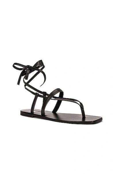 Shop A.emery James Sandal In Black