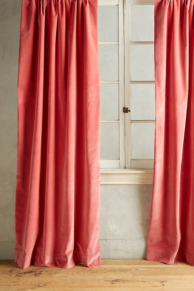 Shop Anthropologie Matte Velvet Curtain By  In Pink Size 50" X 96"