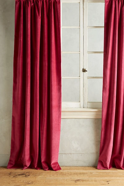 Shop Anthropologie Matte Velvet Curtain By  In Pink Size 50" X 96"