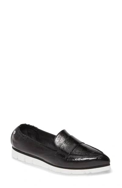 Shop Agl Attilio Giusti Leombruni Micro Leopard Print Pointed Toe Loafer In Black Glammy