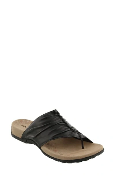 Taos Gift 2 Sandal In Black