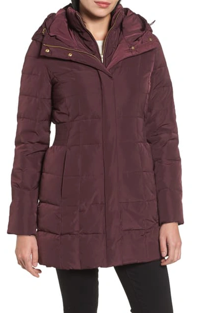 Shop Cole Haan Signature Cole Haan Hooded Down & Feather Jacket In Merlot