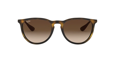 Ray Ban Ray In Brown Gradient