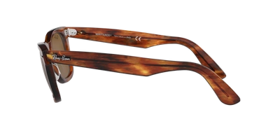 Ray Ban Ray In Brown Classic B-15