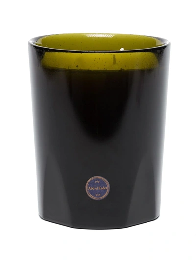 Cire Trudon Abd El Kader Intermediate Scented Candle In Green