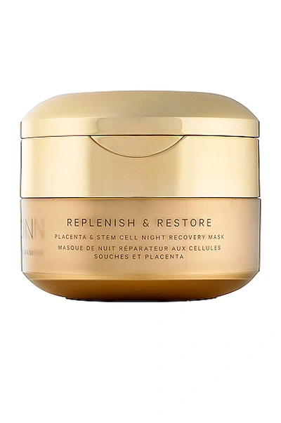 Shop Mz Skin Replenish & Restore Placenta & Stem Cell Night Recovery Mask In N,a