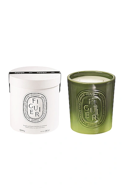 Shop Diptyque Figuier Indoor And Outdoor Candle In N,a