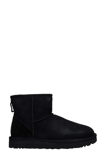 Shop Ugg Mini Classic Ii Low Heels Ankle Boots In Black Suede