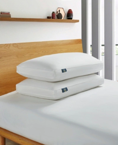 Serta White Goose Feather & Down Fiber Side Sleeper 2-pack Pillow, King In White