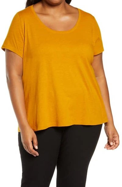 Shop Eileen Fisher U-neck Organic Cotton T-shirt In Goldenrod