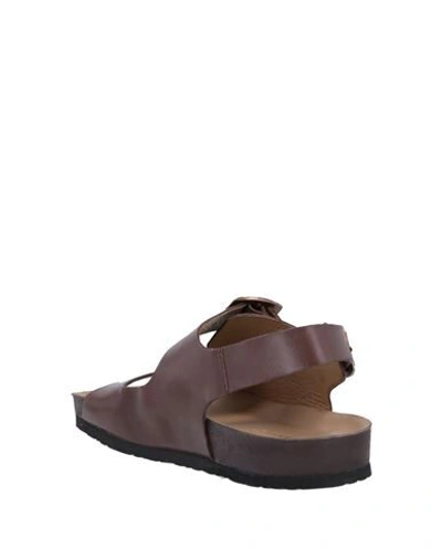 Shop Docksteps Sandals In Dark Brown