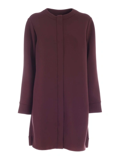 Shop Max Mara Agar Coat In Wine Color In Purple