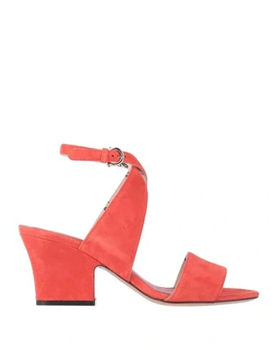 Shop Ferragamo Woman Sandals Red Size 6 Calfskin