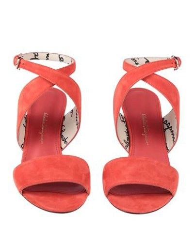 Shop Ferragamo Woman Sandals Red Size 6 Calfskin