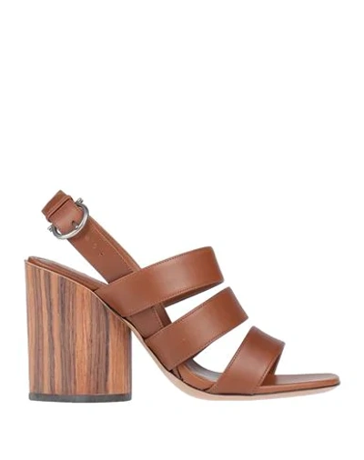 Shop Ferragamo Sandals In Brown