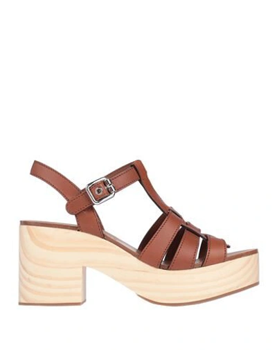Shop Miu Miu Sandals In Brown