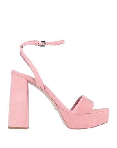 Shop Miu Miu Sandals In Pink