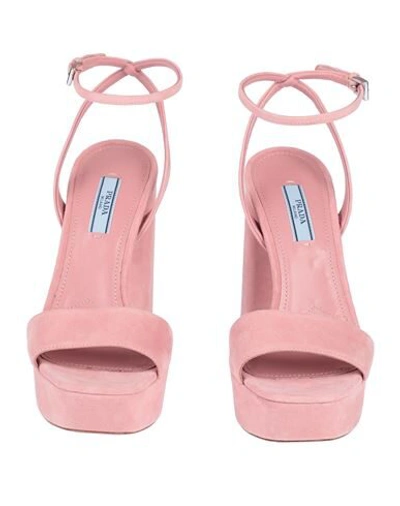Shop Miu Miu Sandals In Pink