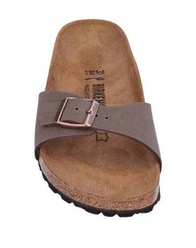 Shop Birkenstock Sandals In Cocoa