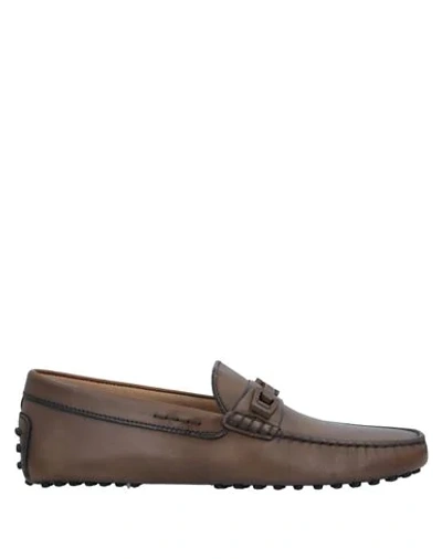 Tod's Man Loafers Dark Brown Size 6.5 Leather In Beige