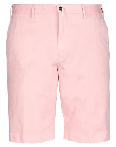 Shop Pt Torino Shorts & Bermuda Shorts In Pink