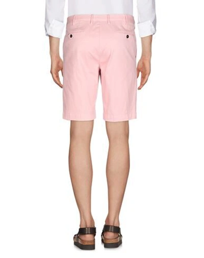 Shop Pt Torino Shorts & Bermuda Shorts In Pink