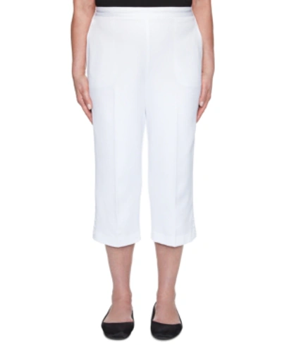 Shop Alfred Dunner Petite Ship Shape Capri Pull-on Pants In White