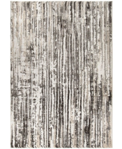 Shop Palmetto Living Mystical Birchtree Natural 9 'x 13' Area Rug