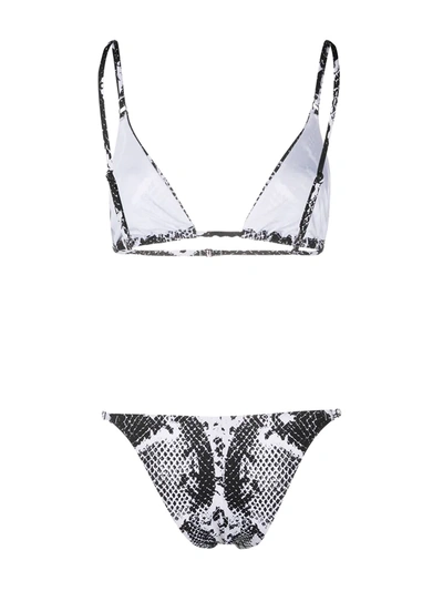 Noire Swimwear Snake Tanning Bikini In Black