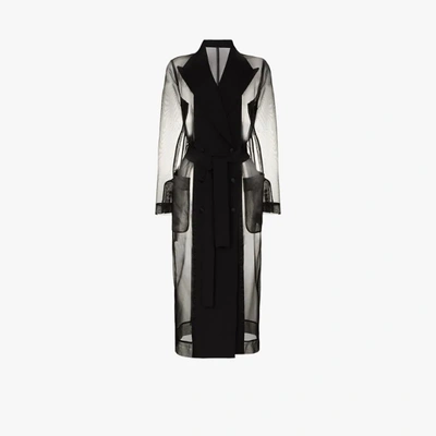 Shop Dolce & Gabbana Black Sheer Trench Coat