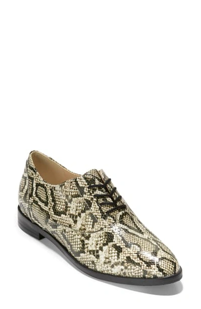 Shop Cole Haan Modern Classics Oxford In Python Rama Printed Leather