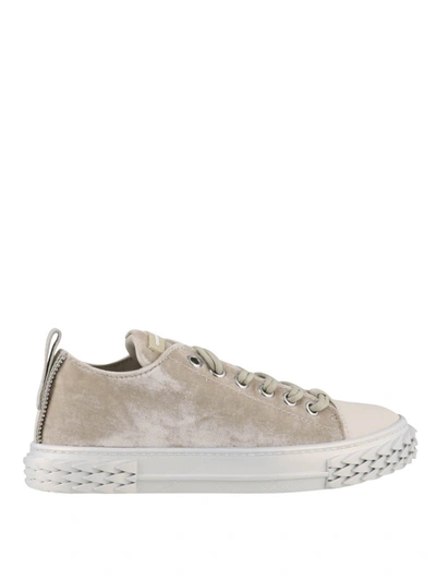 Shop Giuseppe Zanotti Blabber Sneakers In Grey