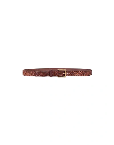 Shop Campomaggi Belts In Brown
