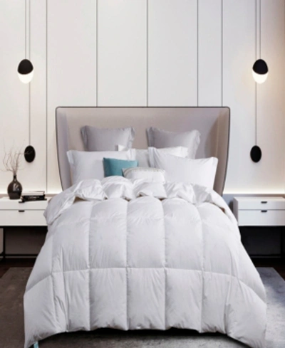 Shop Martha Stewart Collection 50%/50% White Goose Feather & Down Comforter, Twin, Created For Macy's