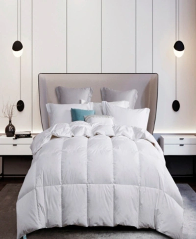 Martha Stewart Collection 50%/50% White Goose Feather & Down Comforter, Full/queen, Exclusively At Macy's In White