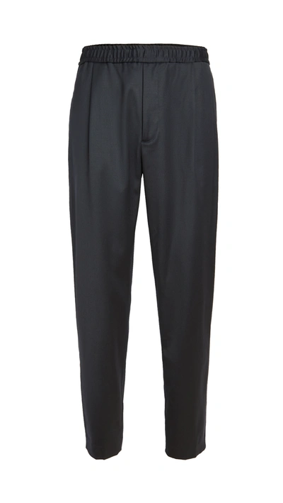 Shop Theory Walter Wool Pleated Trousers In Baltic