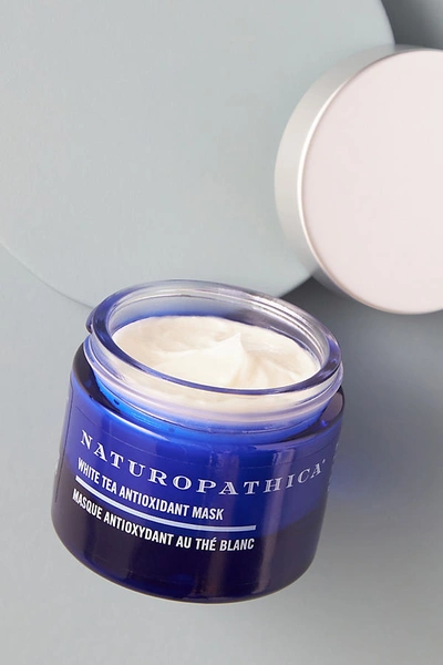 Shop Naturopathica White Tea Antioxidant Mask In Blue