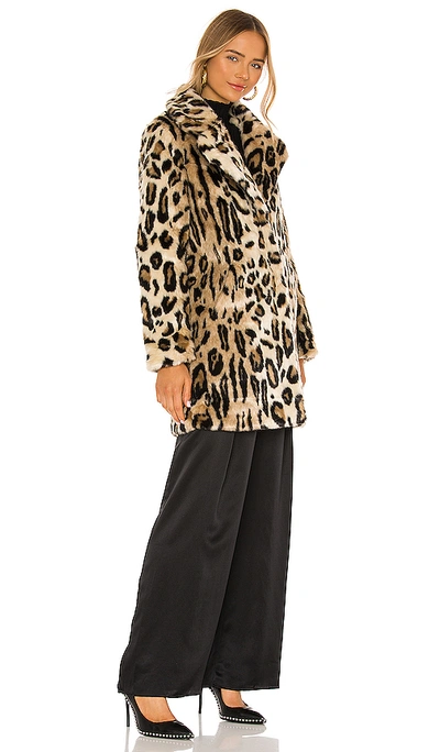 Shop Apparis Lana Faux Fur Jacket In Leopard
