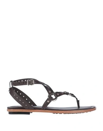 Shop Tod's Woman Thong Sandal Dark Brown Size 7 Soft Leather