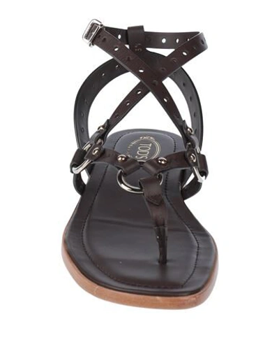 Shop Tod's Woman Thong Sandal Dark Brown Size 7 Soft Leather