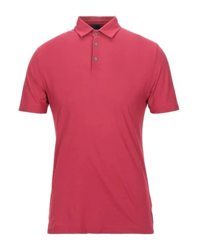 Shop Zanone Man Polo Shirt Red Size 38 Cotton